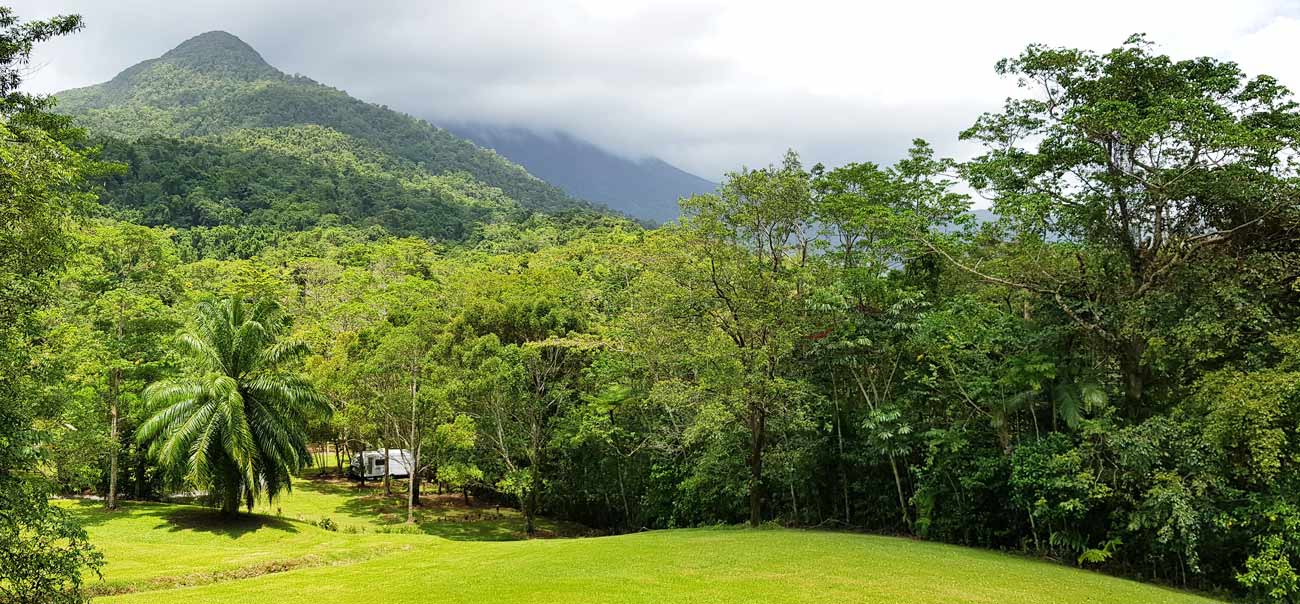 artist in residence Archives Daintree Rainforest Village