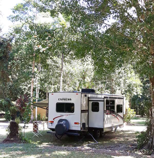 Daintree Rainforest Powered Camp Sites