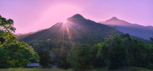 Daintree Rainforest Village Views