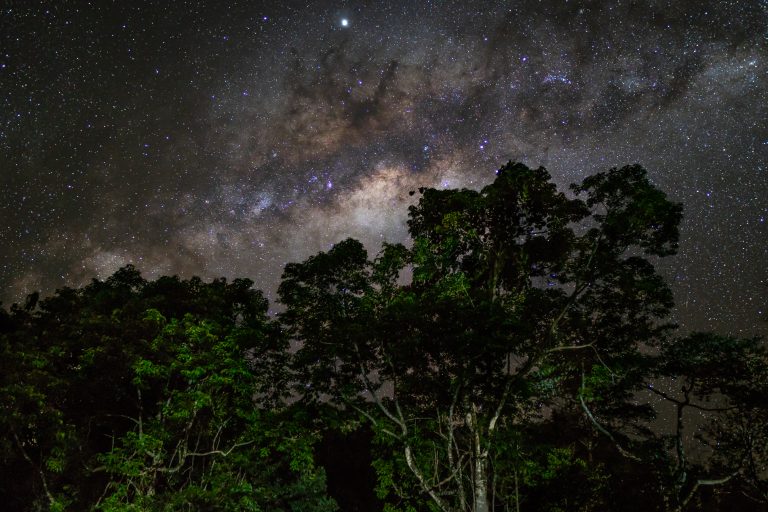 Daintree camping at Night. What is it Really Like.