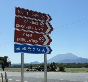 Drive to Cape Tribulation to see the Daintree Rainforest