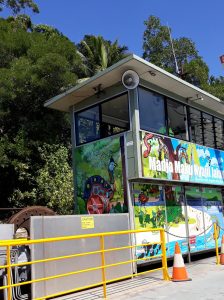 Catch Daintree River Ferry to Daintree Rainforest