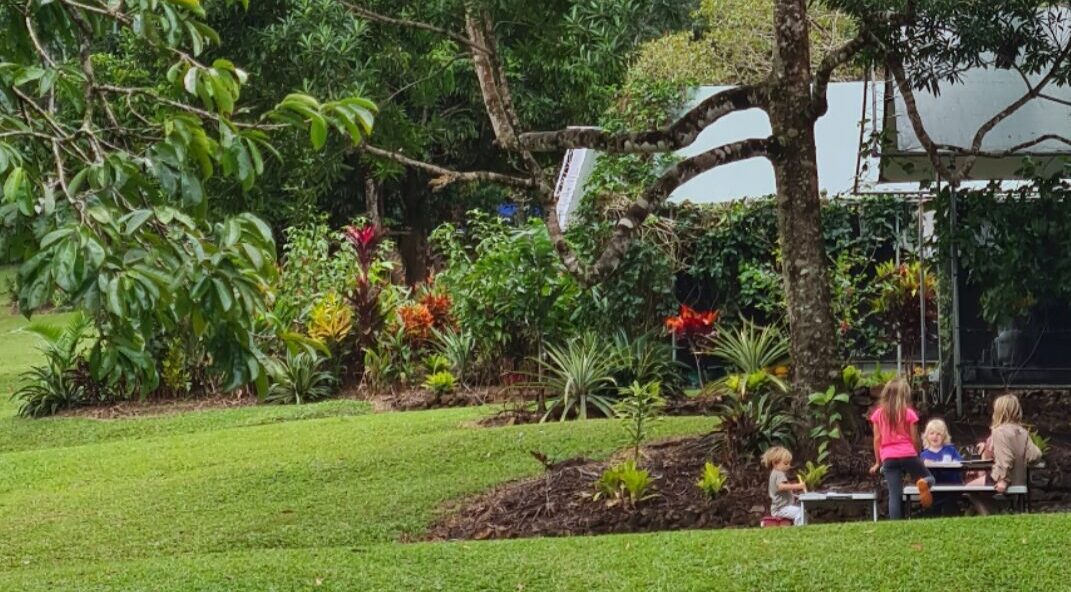 Daintree Camping Kids